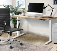 Wendie 160Cm Electric Lift Desk Neutral